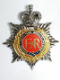 RNZCT Cap Badge